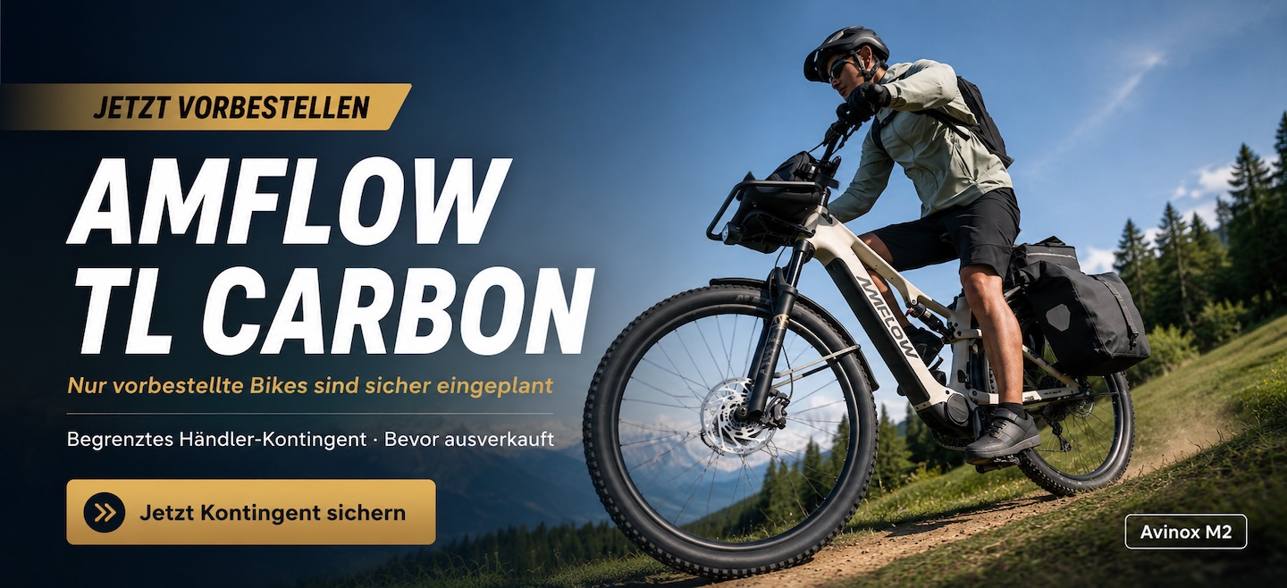 Amflow TL Carbon vorbestellen