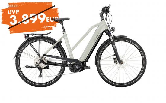 VICTORIA eTrekking 12.9 Trap 10GG agate grey